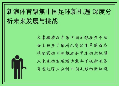 新浪体育聚焦中国足球新机遇 深度分析未来发展与挑战